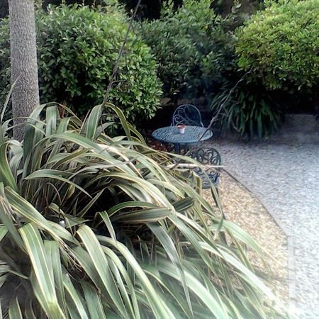 Baytree B&B Charlestown  Zewnętrze zdjęcie