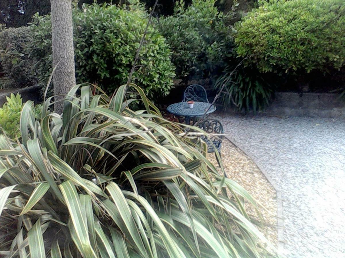 Baytree B&B Charlestown  Zewnętrze zdjęcie